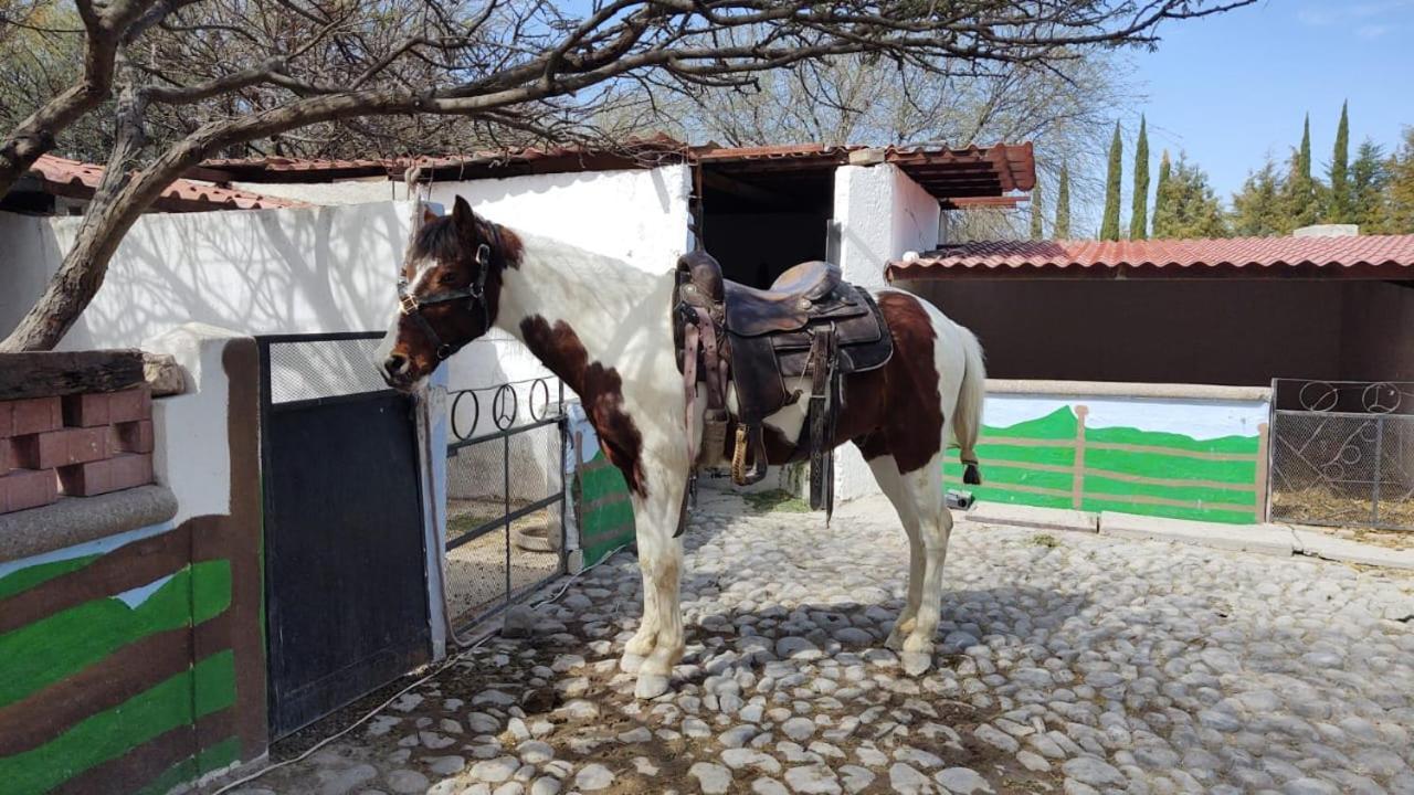 Rancho Labradores Atotonilco  Exteriér fotografie
