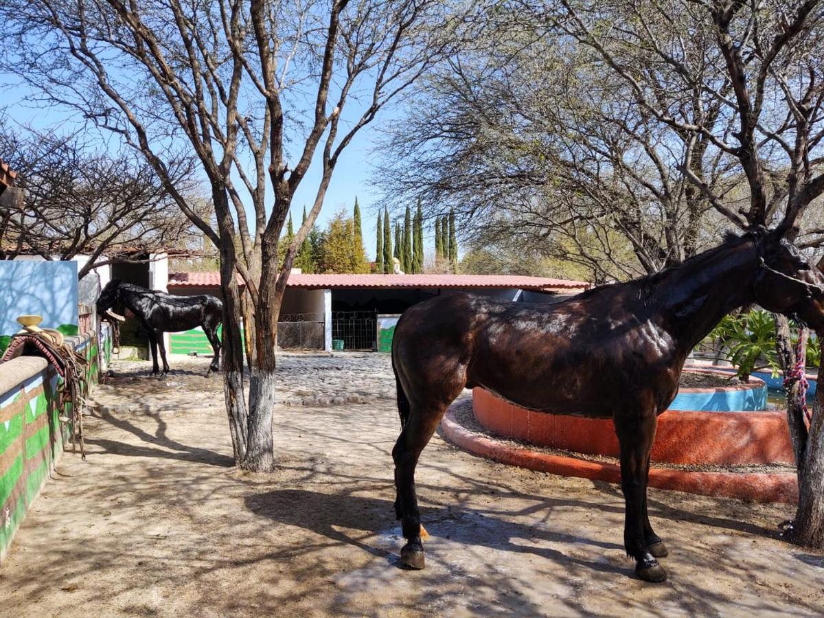 Rancho Labradores Atotonilco  Exteriér fotografie